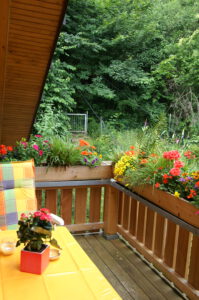 Ferienwohnungen Schimpf Sankt Martin, südliche Weinstraße/Pfalz großer Balkon am Waldrand, ruhig gelegen, Westseite