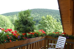 Ferienwohnungen Schimpf Sankt Martin, südliche Weinstraße/Pfalz großer Balkon am Waldrand ,mit schöner Aussicht, Westseite