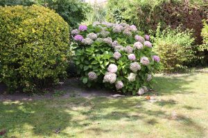 Das Ferienhaus Stoll ist ein Doppelhaus in Neustadt Hambach mit 3 Doppel- Betten und 2 Doppelbetten. Also geeignet von 4 bis 10 Personen. Einmal 185 m² und 65 m²“. Jeweils Küche und Bad mit großem Garten.
